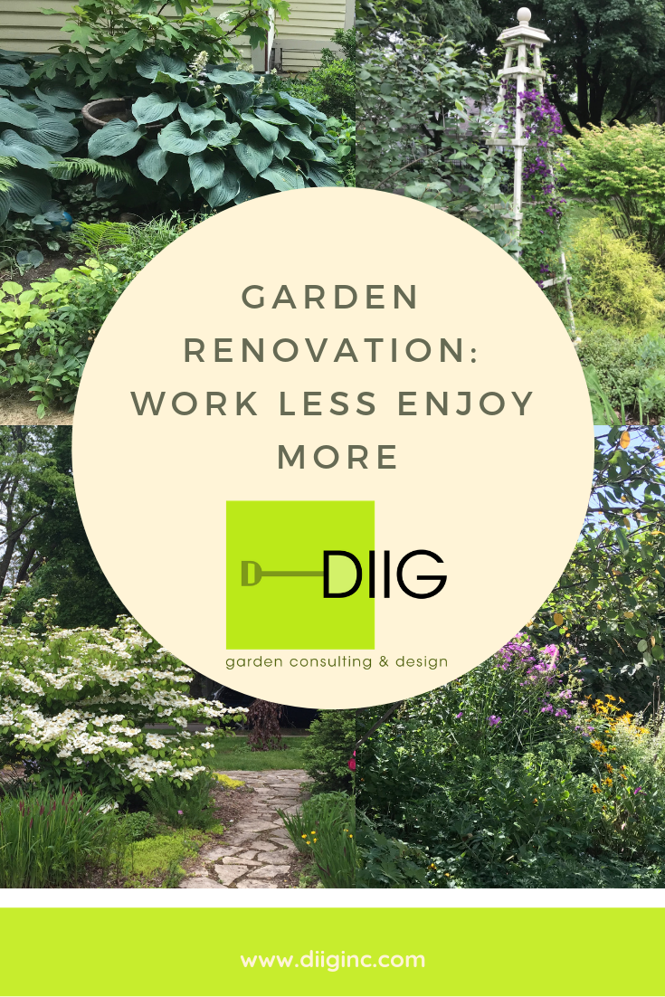 garden-renovation-diiginc
