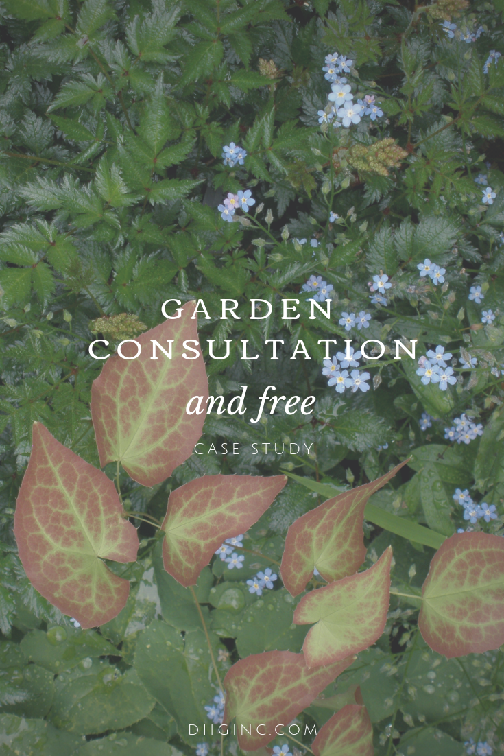 garden consultation diig inc